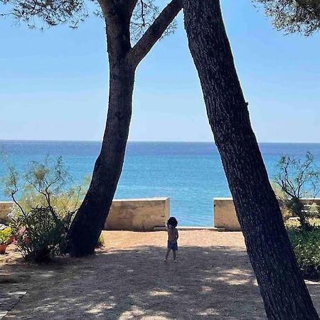 Cocon Les Pieds Dans L'Eau Acces Direct A La Mer La Ciotat Exteriör bild