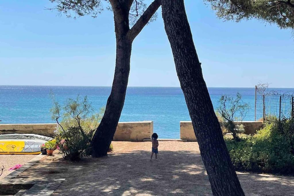 Cocon Les Pieds Dans L'Eau Acces Direct A La Mer La Ciotat Exteriör bild
